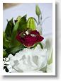 Weddings_003 (1)